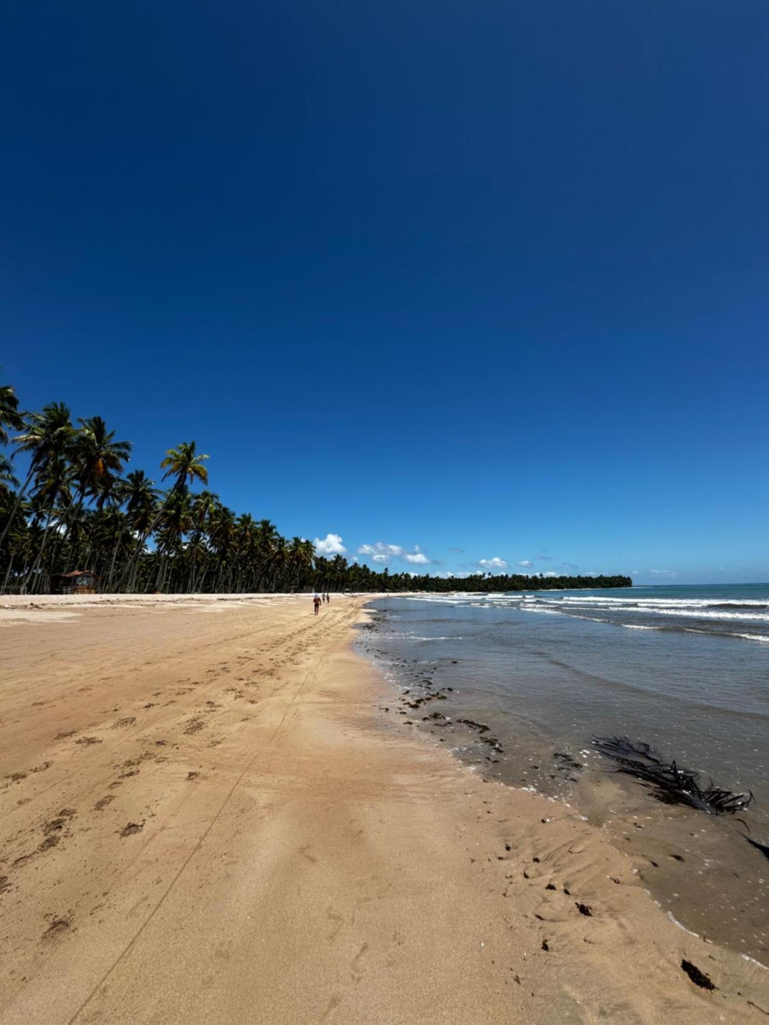 Pousada Mare Alta Em Boipeba Velha Boipeba Eksteriør billede